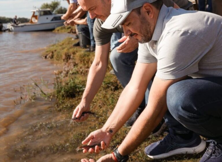 Liberación de alevines de surubí en el río Paraná, Goya, Corrientes