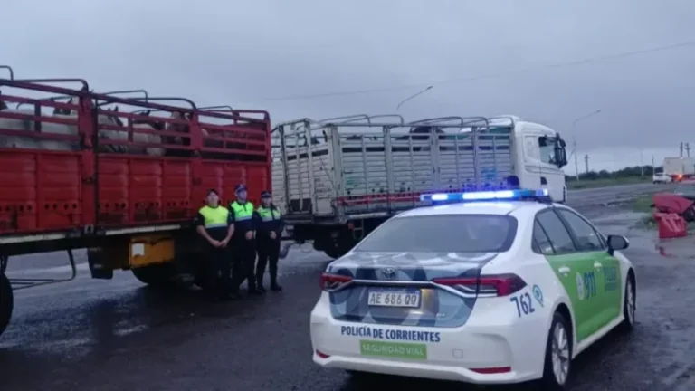 Caballos secuestrados en operativo policial en Ruta 12, Corrientes