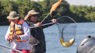 Embarcaciones participantes en el Torneo Apertura del Dorado en el río Paraná, Paso de la Patria, Corrientes