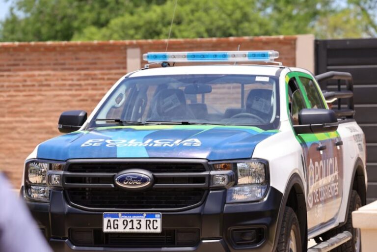 Ilustración de una pileta residencial con un entorno de seguridad