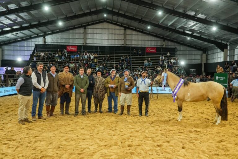Caballos criollos en la pista de juras de la Sociedad Rural de Corrientes durante las Nacionales 2026