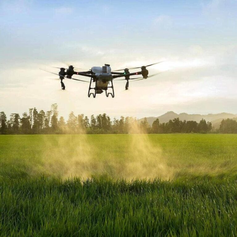 Jornada de buenas prácticas con drones en el agro en Virasoro, Corrientes