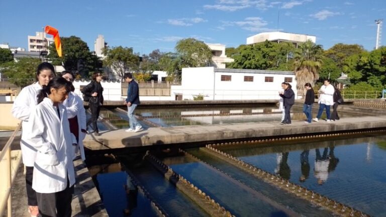 Actividades de compostaje de Aguas de Corrientes en la Semana del Medioambiente