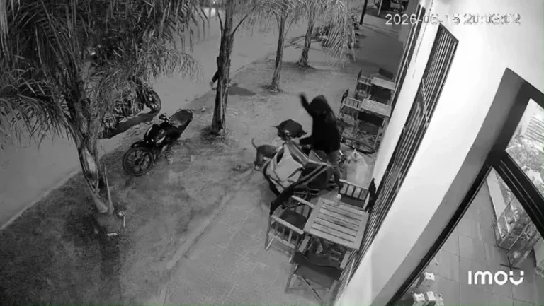 Perro de raza pitbull atado a una cadena en un patio