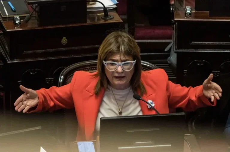Senadora Patricia Bullrich en el Senado de la Nación