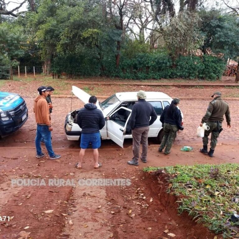 Efectivos policiales inspeccionan cortes de carne en una carnicería de Gobernador Virasoro