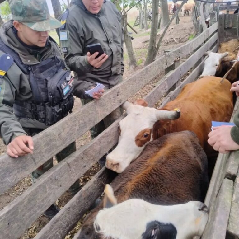 Camioneta Rastrojero en control policial sobre Ruta Nacional 123