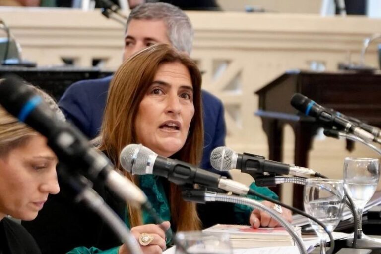 Diputada Cecilia Gortari en la Legislatura de Corrientes