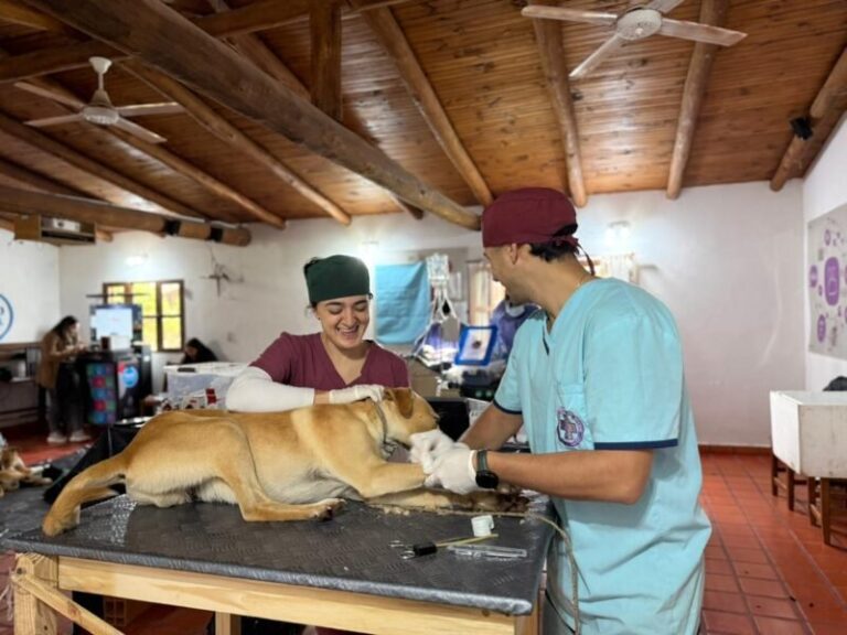 Operativo sanitario en Colonia Carlos Pellegrini