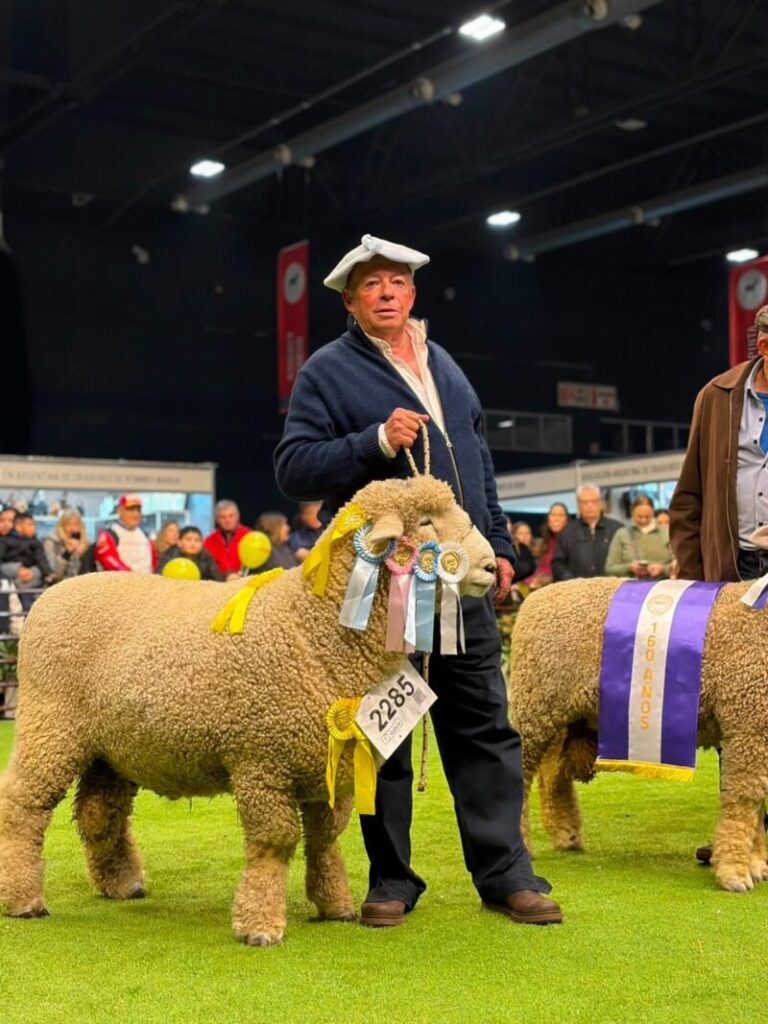 Ejemplar ovino 'Yiyí de La Cruz' en la Exposición Rural de Palermo