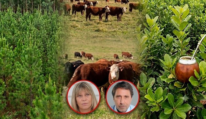 Ministra Mariel Gabur en entrevista radial durante la Exposición Rural de Palermo