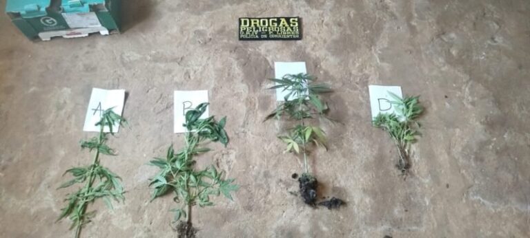 Procedimiento policial en Paso de los Libres con drogas secuestradas