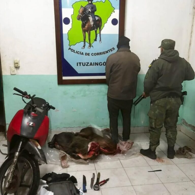 Efectivos policiales en operativo nocturno en los Esteros del Iberá