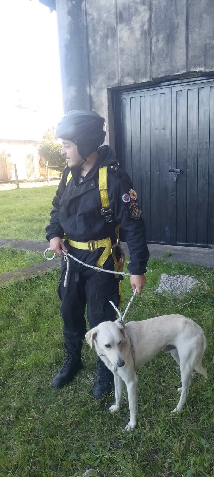 Perro rescatado por bomberos en terraza de edificio en Corrientes