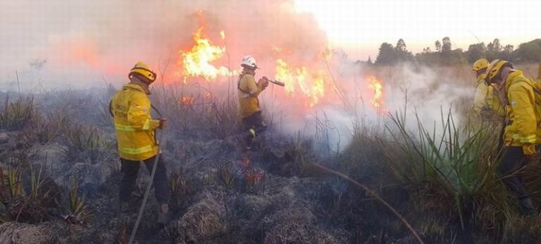 Bomberos combaten incendio rural en pastizales de Santo Tomé