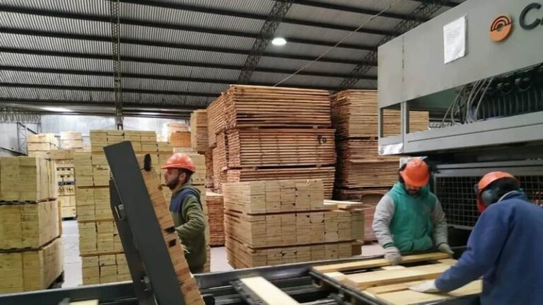 Trabajadores en una fábrica de madera