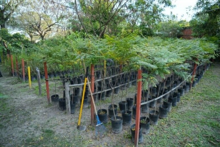 Acto de Promesa al Ambiente de Guardianes Ambientales en el parque Cambá Cuá