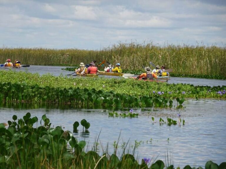 Turistas en los esteros del Iberá durante las vacaciones de invierno 2026