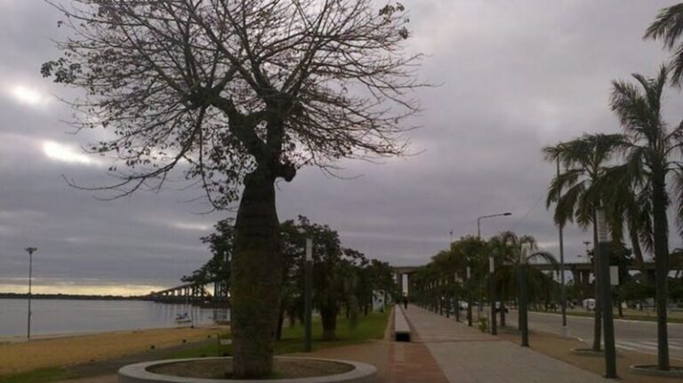Cielo nublado en Corrientes con probabilidad de lluvia