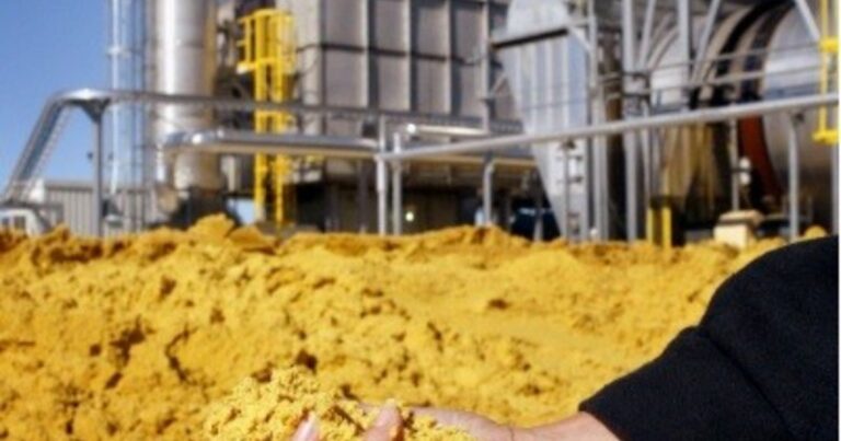 Plantación de caña de azúcar y maíz, materias primas para biocombustibles