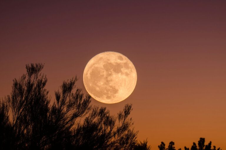 Luna llena en el cielo nocturno de septiembre de 2026
