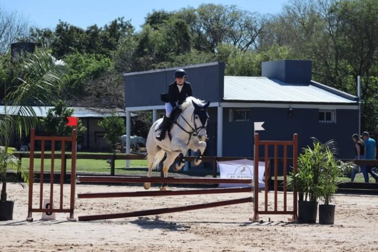 Jinete y caballo durante una competencia de salto hípico en el Club Hípico Santa Catalina