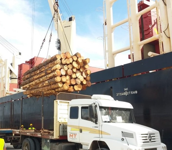 Industria maderera en Argentina
