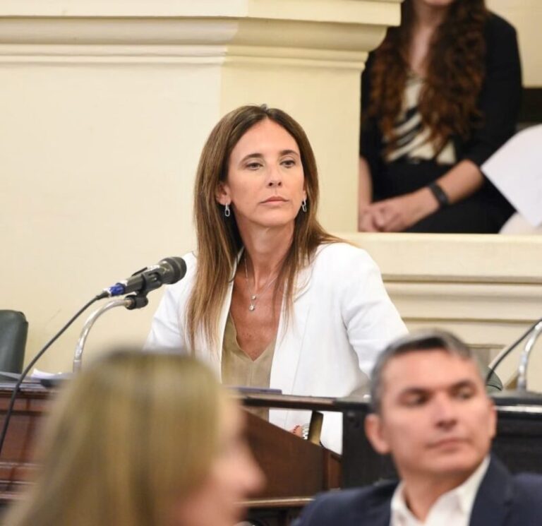 Vista del río Paraná en la zona de Goya y Reconquista