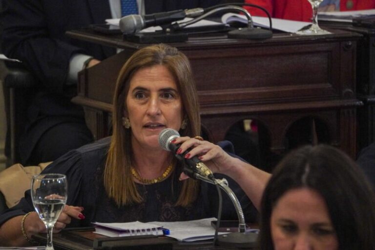 Sesión ordinaria en la Cámara de Diputados de Corrientes