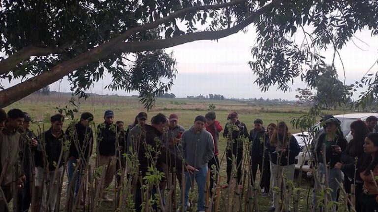 Estudiantes agrotécnicos durante una visita a una plantación de nuez pecán en Curuzú Cuatiá