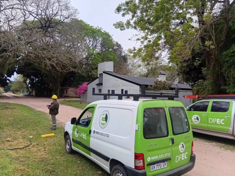 Operarios de la Dpec realizando mantenimiento en líneas de media tensión
