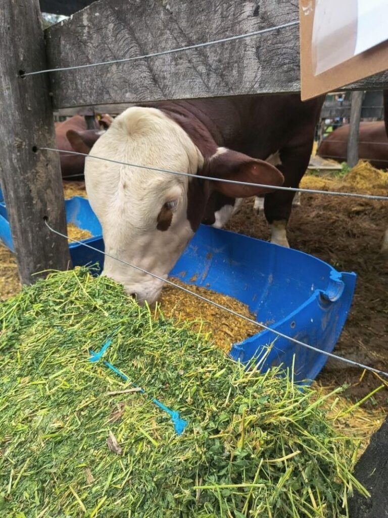 Ministro de Producción Walter Chávez en la 104° Exposición Rural de Curuzú Cuatiá