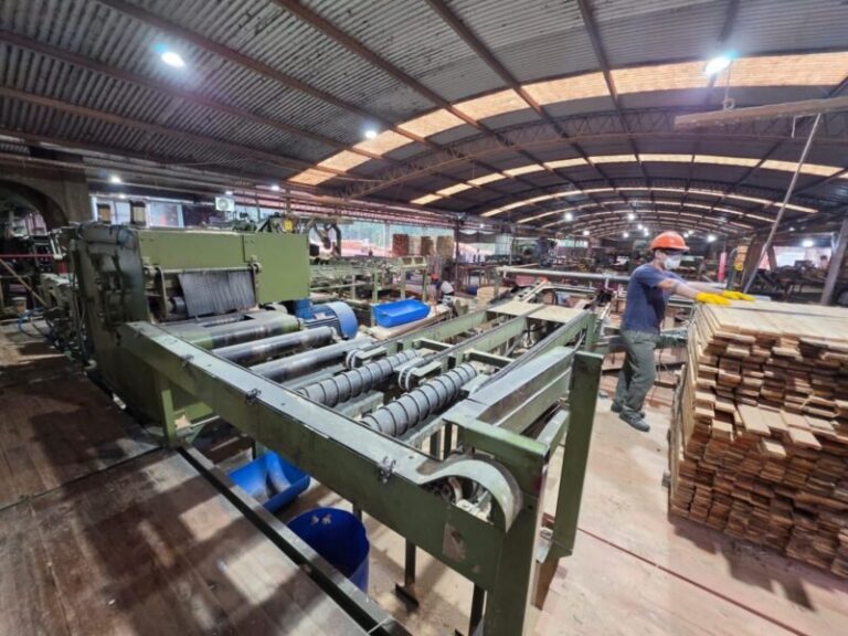 Fondo de Desarrollo Industrial de Corrientes