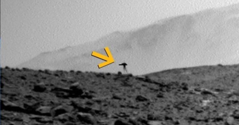Imagen capturada por el rover Curiosity en Marte que muestra una sombra con forma de medusa