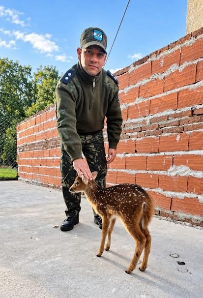 Efectivos policiales durante un operativo rural en Sauce