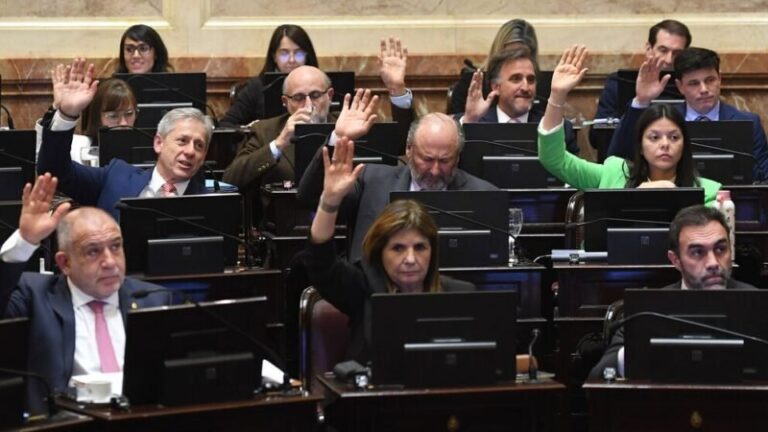 Sesión en la Cámara de Senadores de la Nación donde se aprobó la ley de Zonas Frías