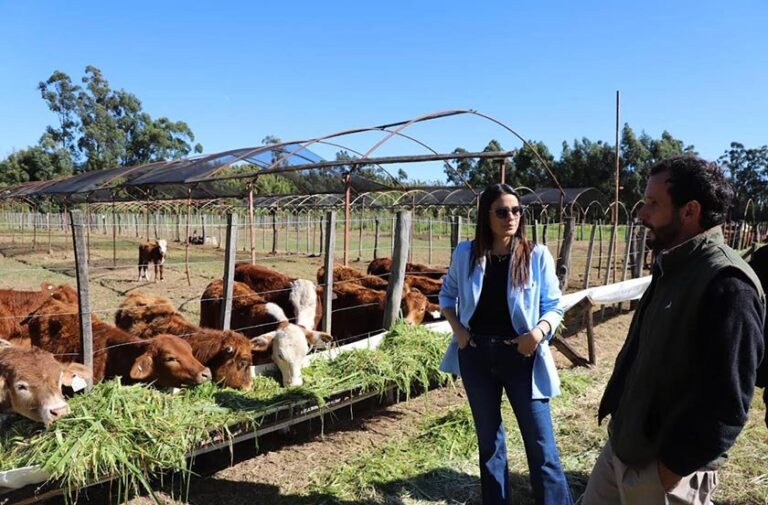 Autoridades de Bella Vista durante la visita a un emprendimiento ganadero en la zona de Tres de Abril