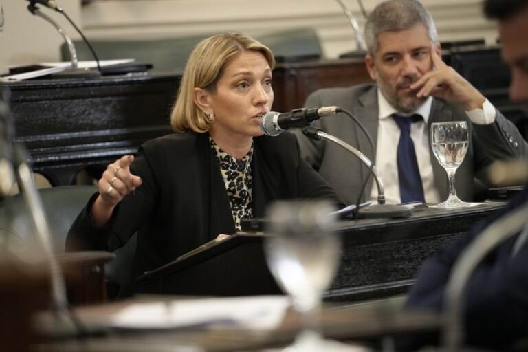 Diputada provincial Marlén Gauna durante una sesión en la Legislatura de Corrientes